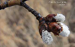 I am that bread of life John 6:48 Desktop1680