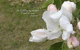 The LORD is my shepherd - Desktop1680