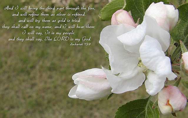 ...The LORD is my God.  Desktop1680