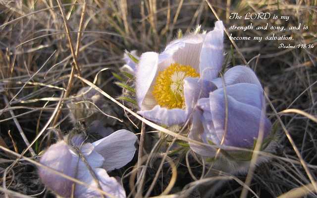 The LORD is my strength and song.Desktop1680