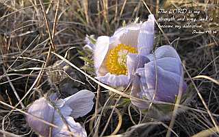 The LORD is my strength and song.Desktop1680