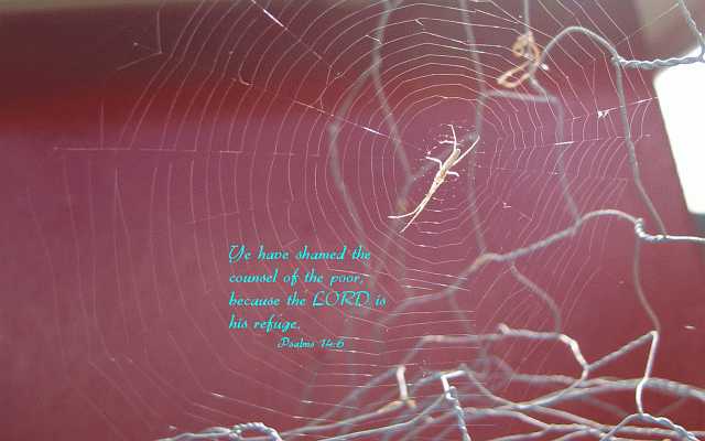 ...the LORD is his refuge. Desktop1680