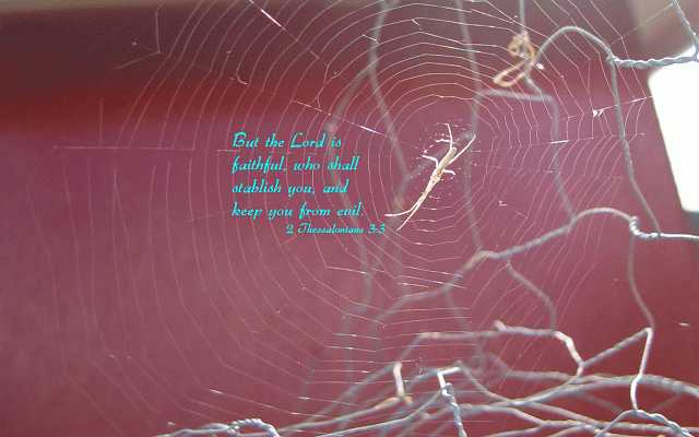 But the LORD is faithful... Desktop1680