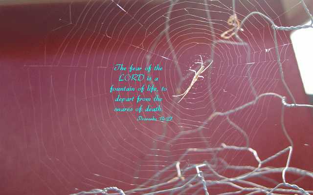 ...the LORD is a fountain of life... Desktop1680