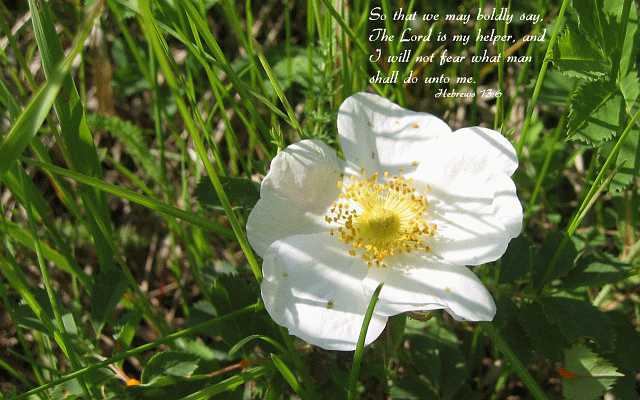 ...The Lord is my helper... Desktop1680