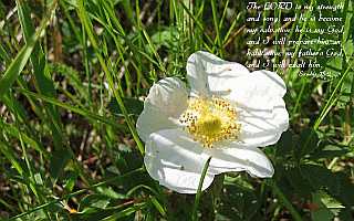 The Lord Is my strength and song?Desktop1680