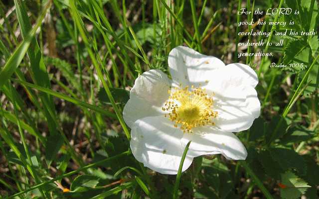 For the LORD is good... Desktop1680