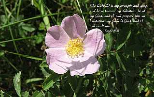 The Lord Is my strength and song?Desktop1680