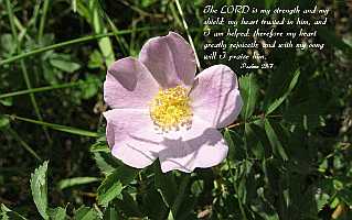 The LORD is my strength... Desktop1680