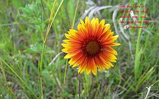 But the LORD is faithful... Desktop1680