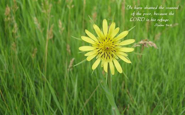 ...the LORD is his refuge. Desktop1680