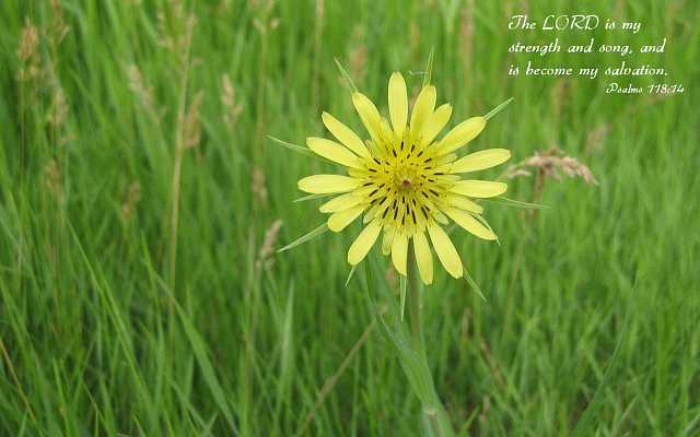 The LORD is my strength and song.Desktop1680