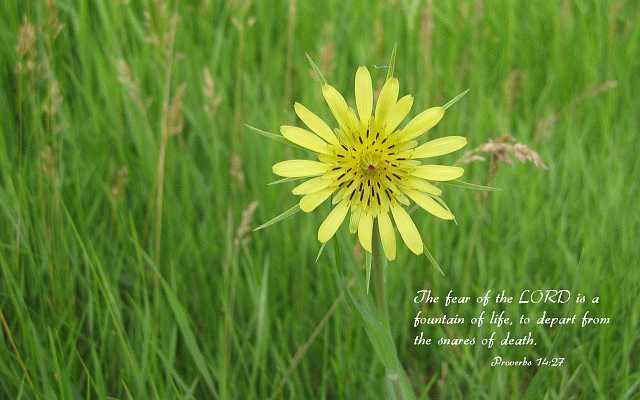 ...the LORD is a fountain of life... Desktop1680