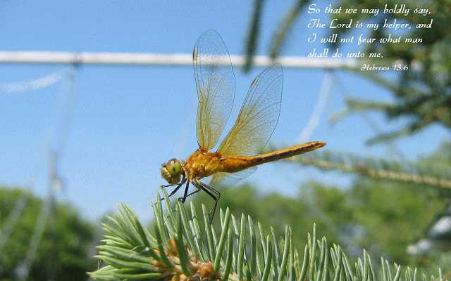 ...The Lord is my helper... Desktop1680