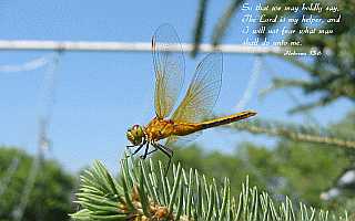 ...The Lord is my helper... Desktop1680