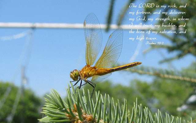 The LORD is my rock, Desktop1680