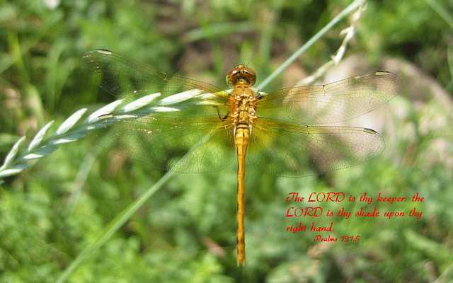 The LORD is thy keeper... Desktop1680