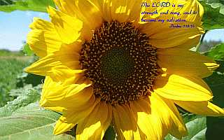 The LORD is my strength and song.Desktop1680