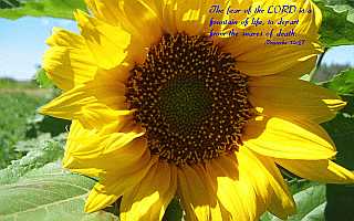 ...the LORD is a fountain of life... Desktop1680