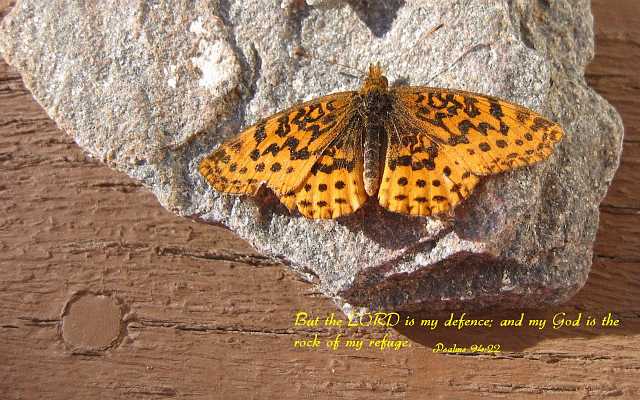 But the LORD is my defence... Desktop1680