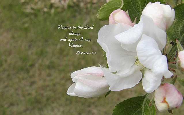 Rejoice in the Lord alway... Desktop1680