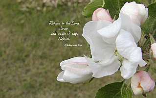 Rejoice in the Lord alway... Desktop1680