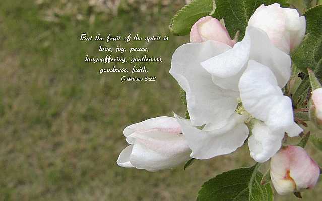 ...fruit of the Spirit is love... Desktop1680