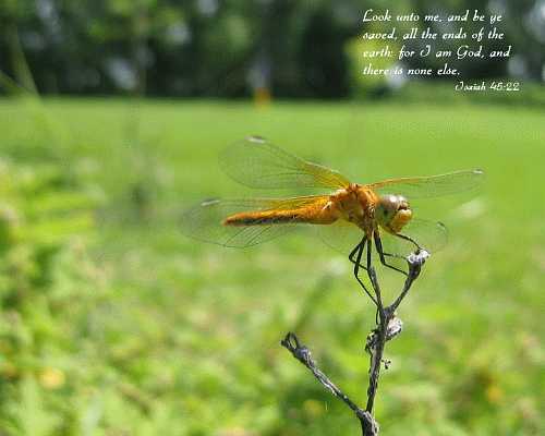...I am God, and there is none else  Desktop1280