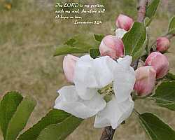 The LORD is my portion... Desktop1280